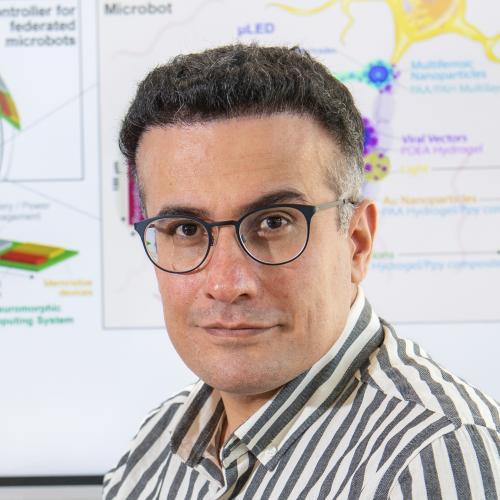 Hadi Heidari