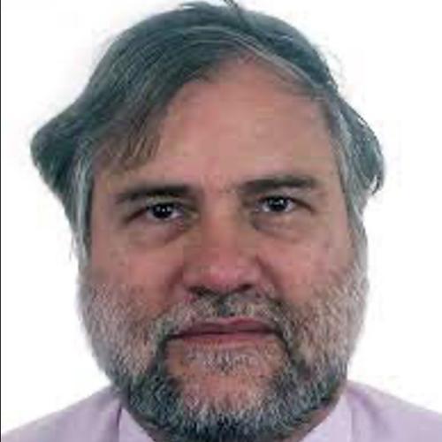 Sergio Bampi headshot
