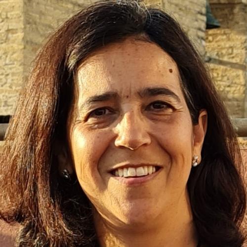 Teresa Serrano-Gotarredona