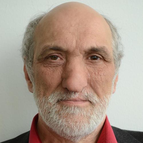 Wolfgang Mathis