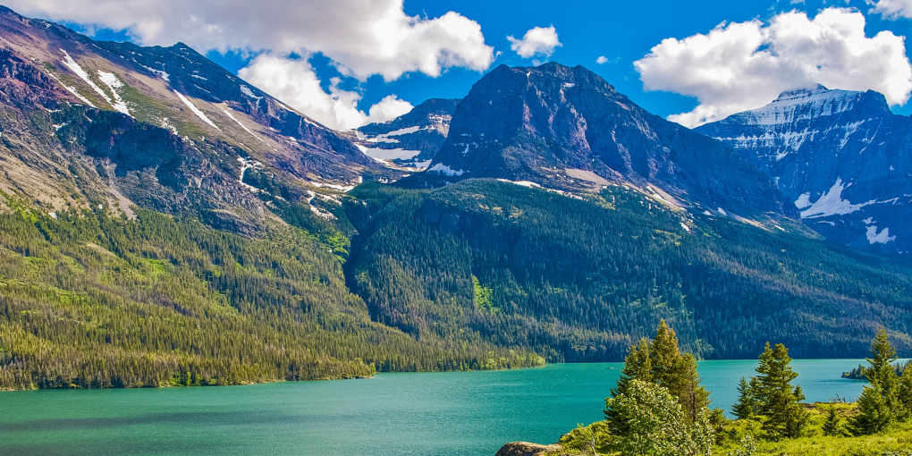 montana