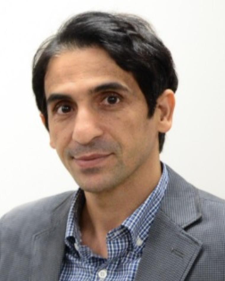 Mehdi Kiani