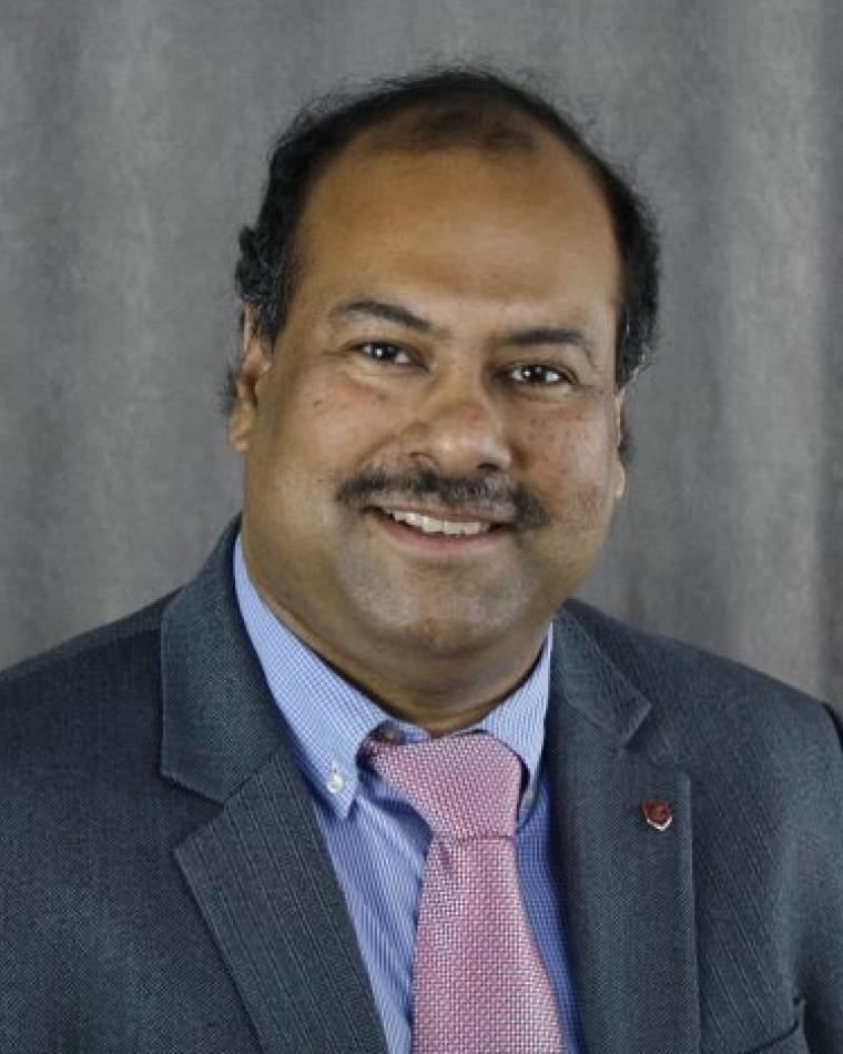 Partha P Pande